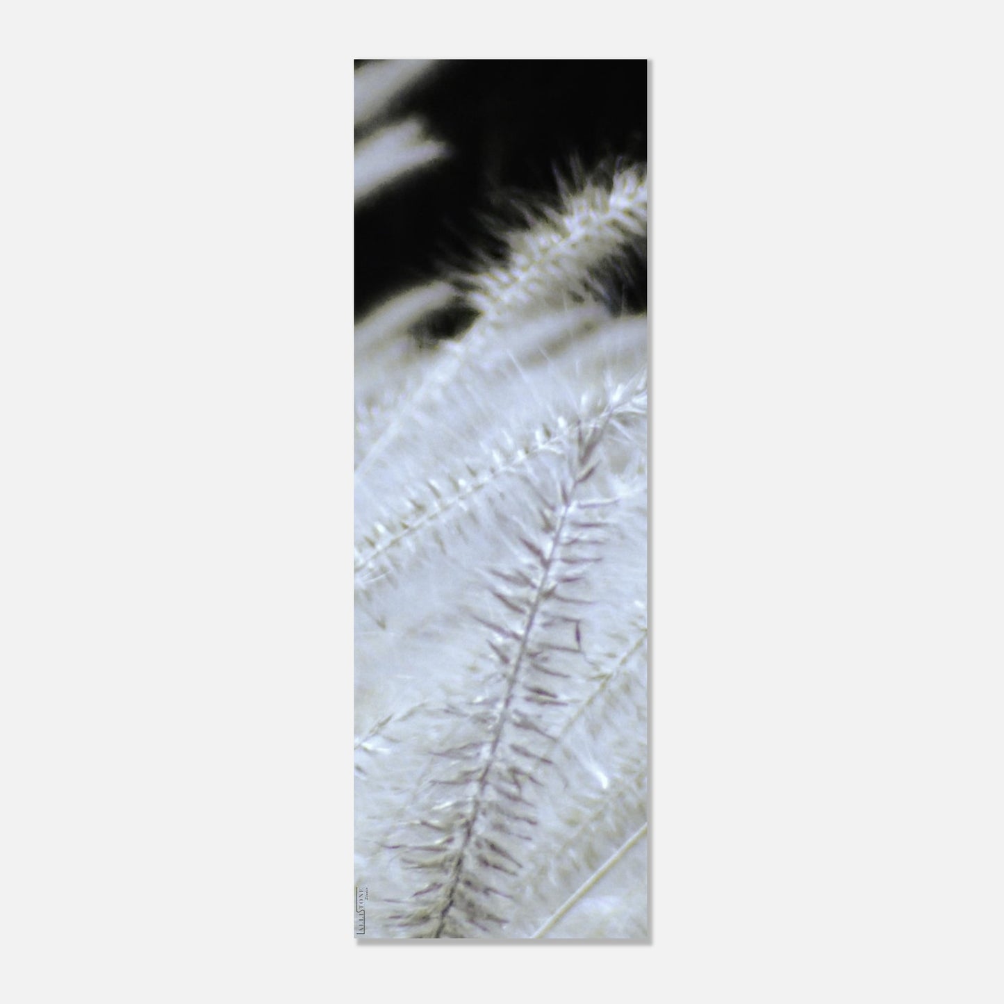 Alluminio | SilverMoon Shades # 1 30x90 cm