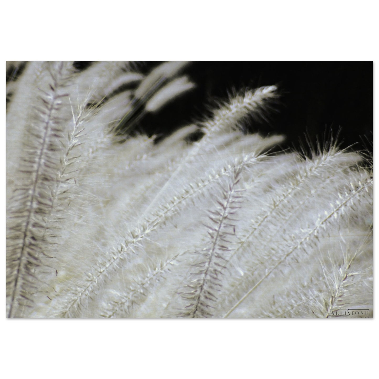 Sfumature di Yang - Legno