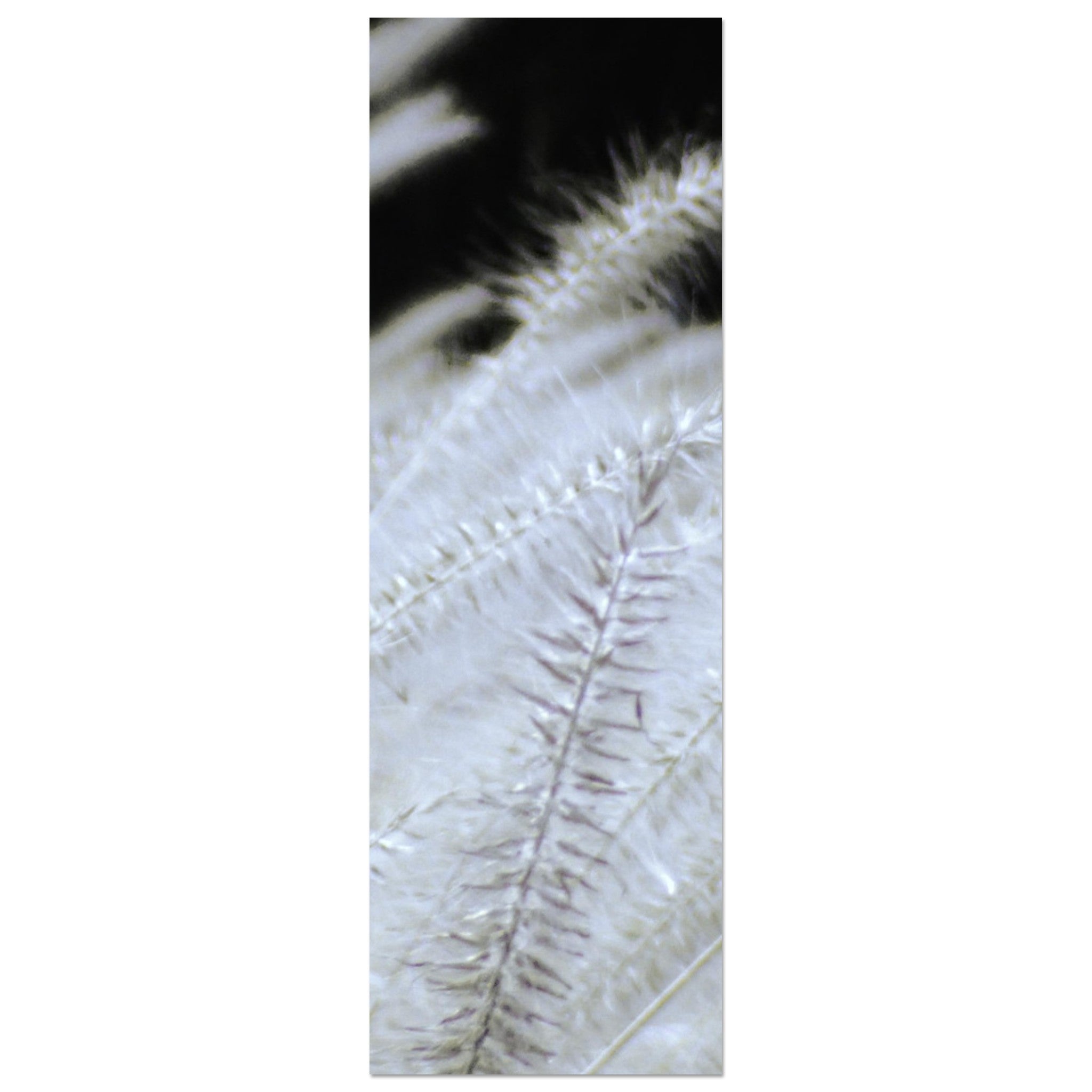 0c15432a-6c9b-4bc6-a3f8-8830cf1956df