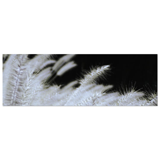 0f6d2294-404b-4770-9161-90ff07c79526