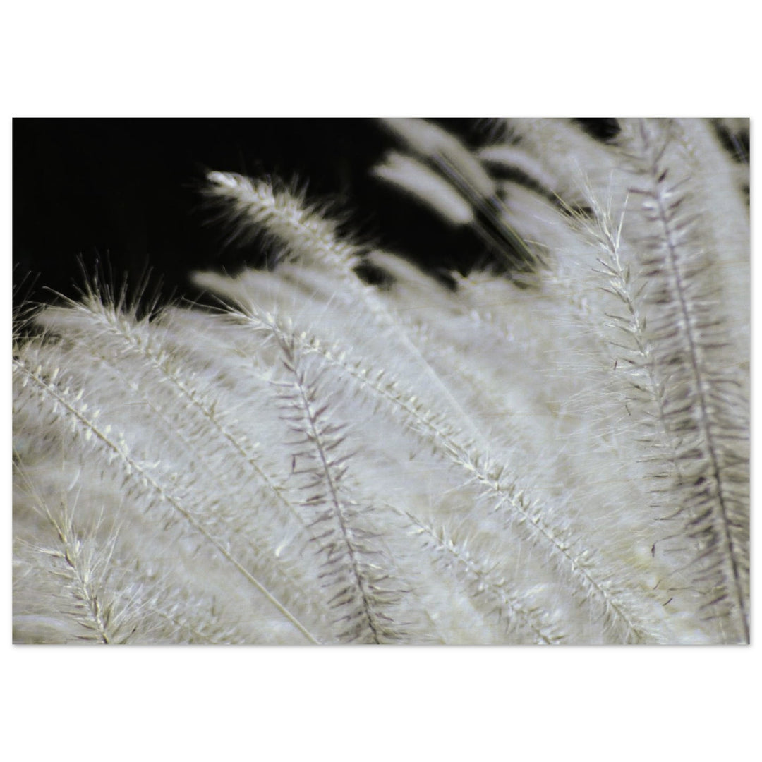 1ce2ef5f-cc69-4f08-b291-b8746ed18261