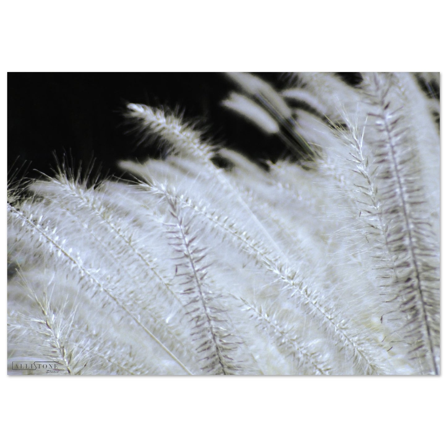 Aluminium | Shades of Yin 50x70cm