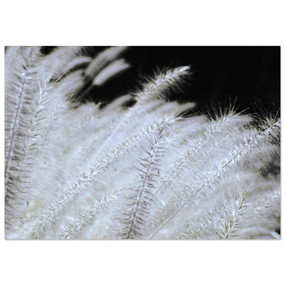 305bad81-3396-4e8b-bd3a-4c736f8b124b