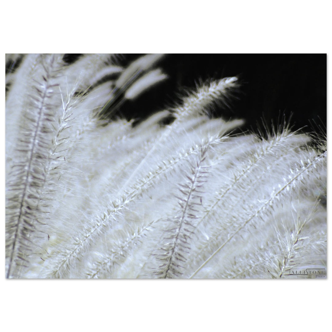 Aluminium | Nuances de Yang 50x70cm 