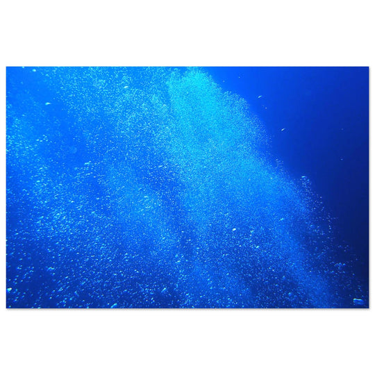 41d91a23-0025-45df-8912-84ce8b50101d