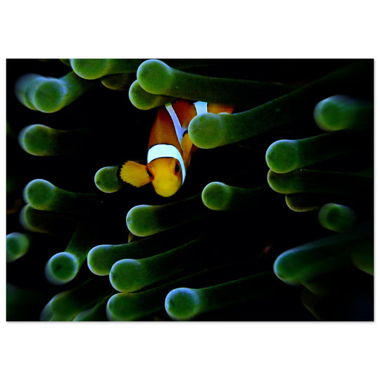 5033889f-29c1-495e-a13e-e28b1dfbdad8