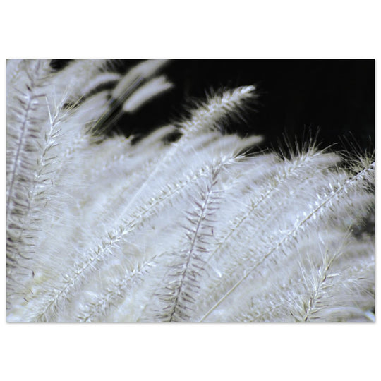 6f732f30-b63f-4255-a4ba-824c2c4f3863