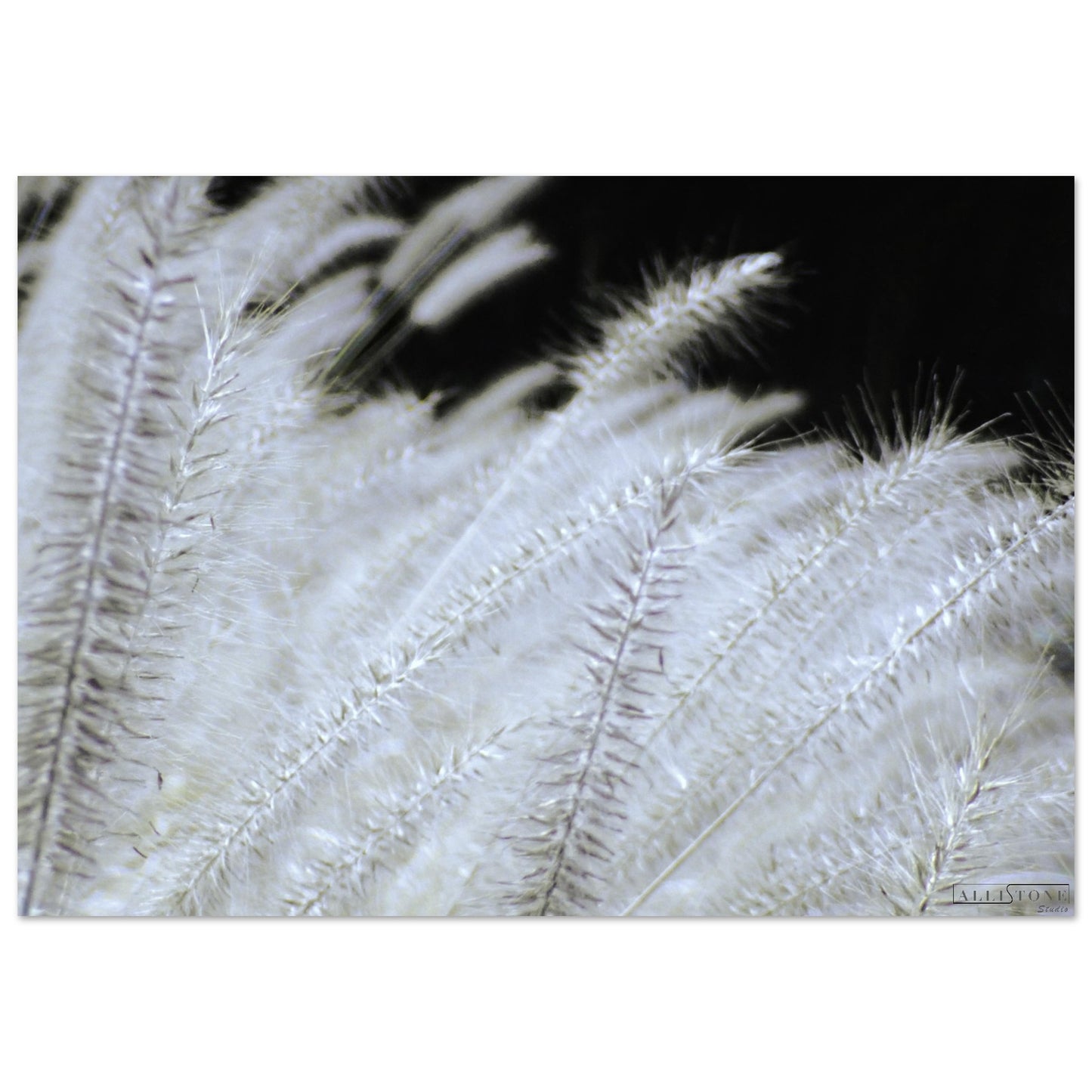 Aluminium | Nuances de Yang 70x100cm 