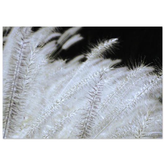 Aluminium | Nuances de Yang 70x100cm 