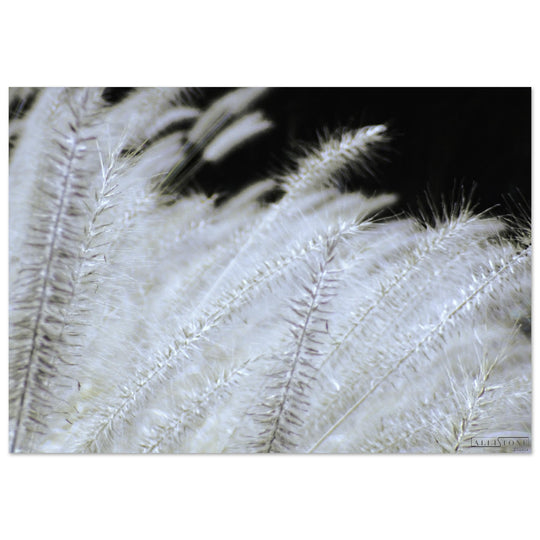 Aluminium | Shades of Yang 70x100cm