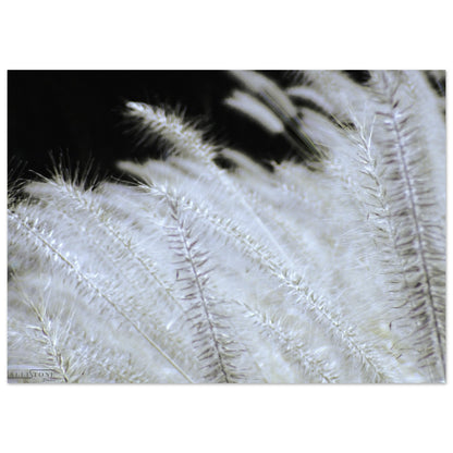 Aluminium | Shades of Yin 50x70cm