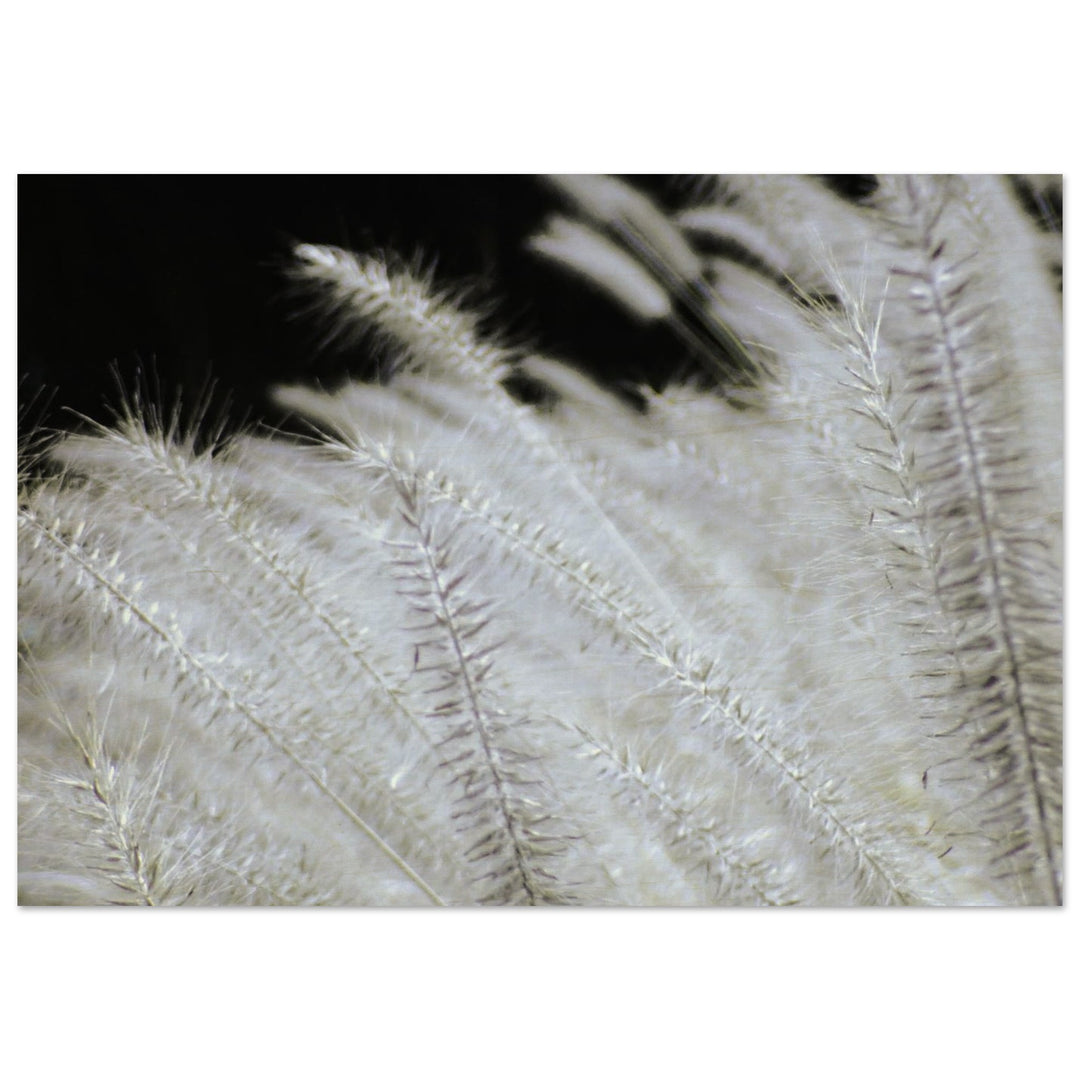 97550bed-5a52-4ed1-ac5f-a19d11c3277a