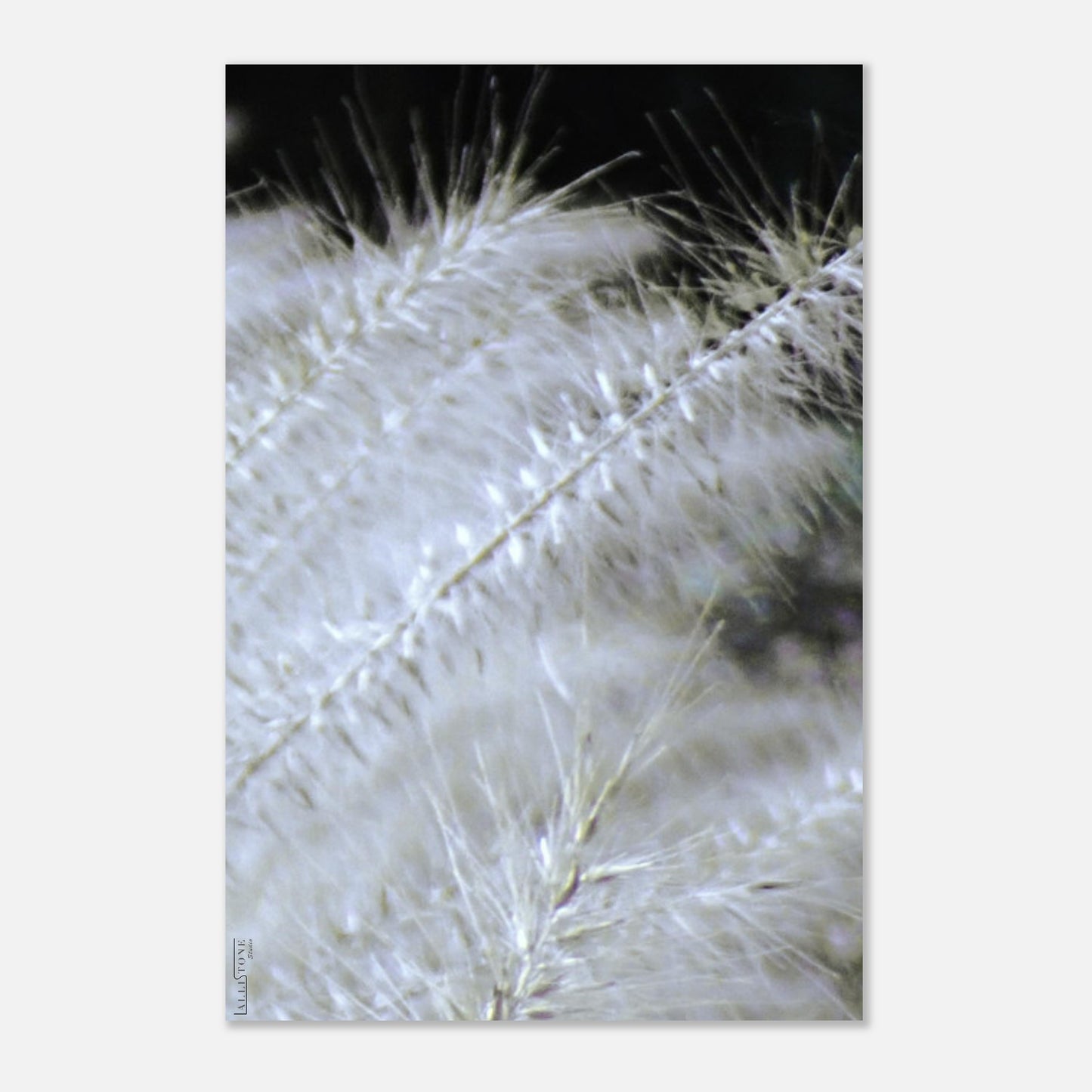 Alluminio | SilverMoon Shades #5 20x30 cm 