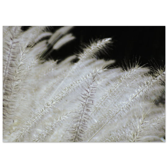 be06bf73-e35d-43f1-8740-9163dad8fc8e