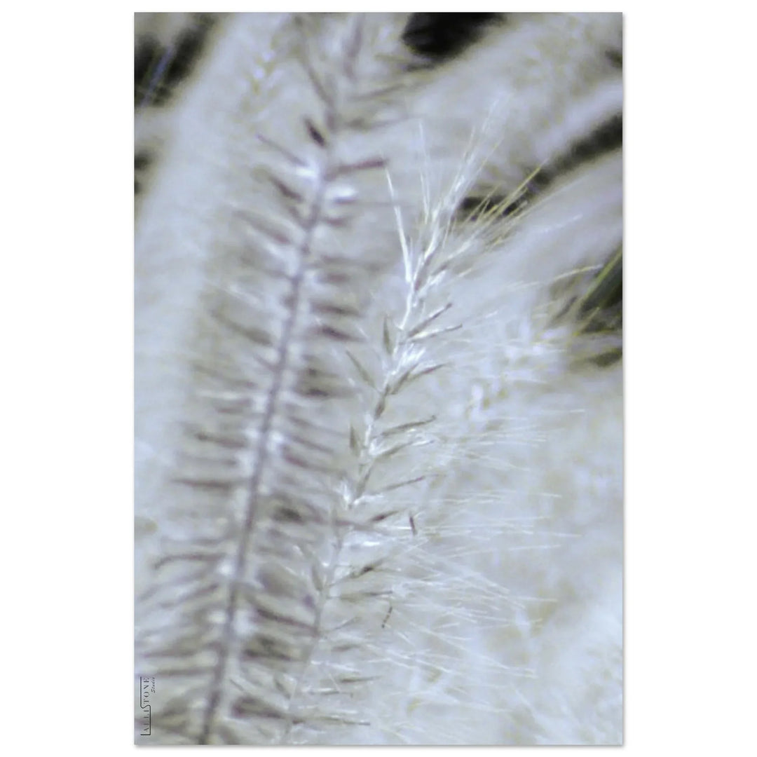 Aluminium | SilverMoon Shades # 4 20x30 cm