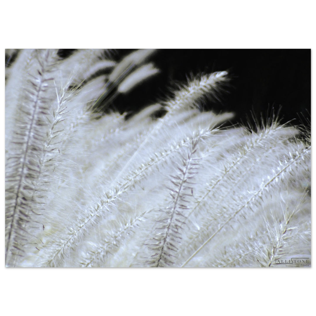 Aluminium | Nuances de Yang 50x70cm 