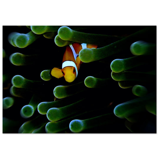 d3ae29b9-0b02-476d-994b-7835d88a4713