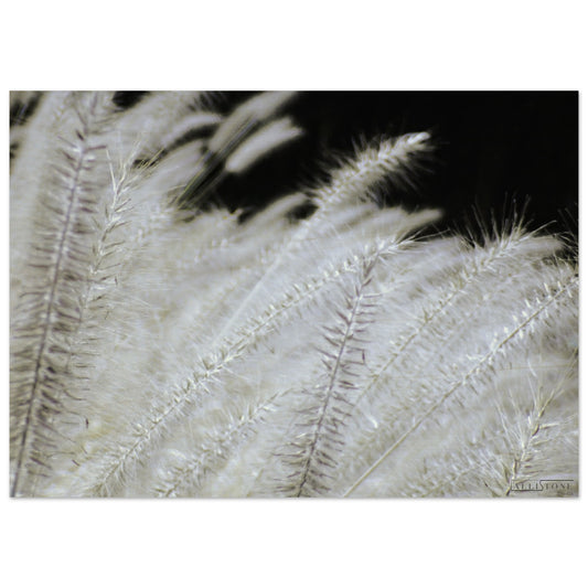 Sfumature di Yang - Legno 