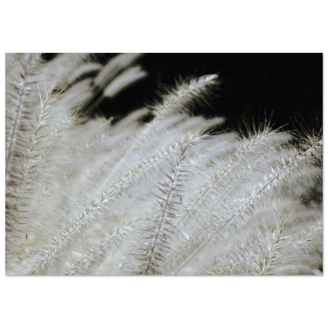 ee987392-4679-4b60-bed2-a02fcffbb2da